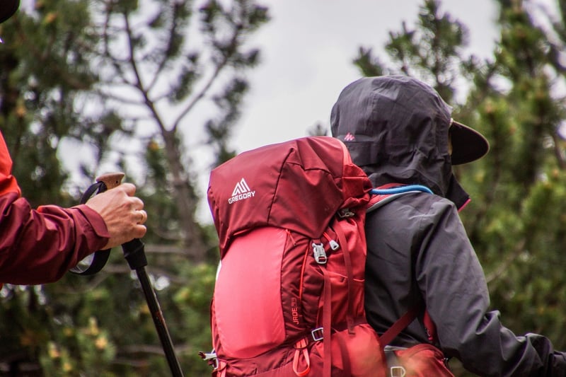 Hiking in the mountains